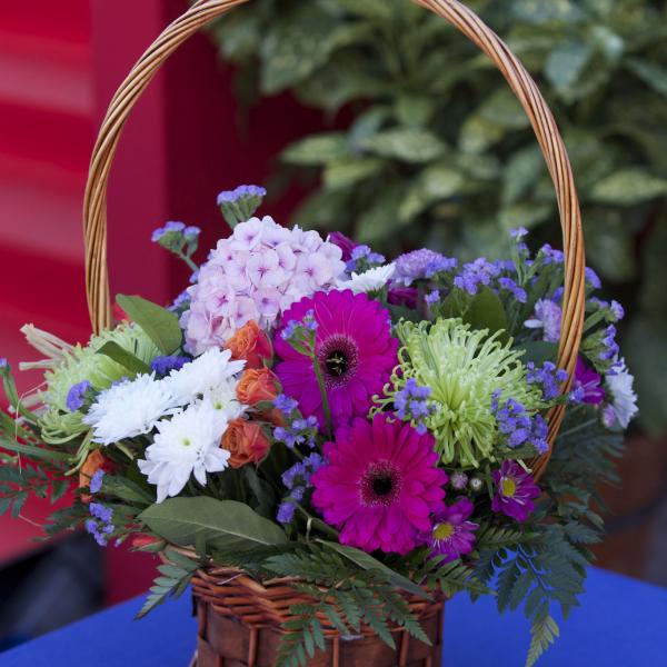 2015-11-09 - Festividad de la Almudena 2015